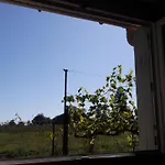Chez Nano
